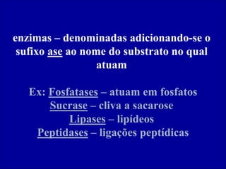 enzimas – denominadas adicionando-se o
sufixo ase ao nome do substrato no qual
atuam
Ex: Fosfatases – atuam em fosfatos
Sucrase – cliva a sacarose
Lipases – lipídeos
Peptidases – ligações peptídicas
 