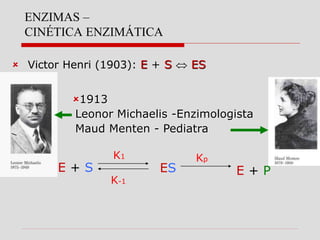 ENZIMAS –
CINÉTICA ENZIMÁTICA
 Victor Henri (1903): E + S  ES
1913
Leonor Michaelis -Enzimologista
Maud Menten - Pediatra
E + S
K1
K-1
ES
Kp
E + P
 