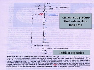 Aumento do produto
final – desacelera
toda a via
Inibidor específico
 