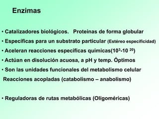 • Catalizadores biológicos. Proteínas de forma globular
• Específicas para un substrato particular (Estéreo especificidad)
• Aceleran reacciones específicas químicas(103-10 20)
• Actúan en disolución acuosa, a pH y temp. Óptimos
• Son las unidades funcionales del metabolismo celular
Reacciones acopladas (catabolismo – anabolismo)
• Reguladoras de rutas metabólicas (Oligoméricas)
Enzimas
 