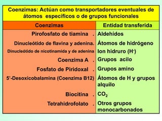 Coenzimas: Actúan como transportadores eventuales de
átomos específicos o de grupos funcionales
Coenzimas Entidad transferida
Pirofosfato de tiamina .
Dinucleótido de flavina y adenina.
Dinucleótido de nicotinamida y de adenina
Coenzima A .
Fosfato de Piridoxal .
5’-Desoxicobalamina (Coenzima B12)
Biocitina .
Tetrahidrofolato .
Aldehídos
Átomos de hidrógeno
Ion hidruro (H-)
Grupos acilo
Grupos amino
Átomos de H y grupos
alquilo
CO2
Otros grupos
monocarbonados
 