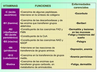 VITAMINAS FUNCIONES
Enfermedades
carenciales
•C (ácido
ascórbico)
•Coenzima de algunas peptidasas.
Interviene en la síntesis de colágeno
•Escorbuto
•B1 (tiamina)
•Coenzima de las descarboxilasas y de
las enzima que transfieren grupos
aldehídos
•Beriberi
•B2
(riboflavina)
•Constituyente de los coenzimas FAD y
FMN
•Dermatitis y lesiones
en las mucosas
•B3 (ácido
pantoténico)
•Constituyente de la CoA
•Fatiga y trastornos del
sueño
•B5 (niacina)
•Constituyente de las coenzimas NAD y
NADP
•Pelagra
•B6
(piridoxina)
•Interviene en las reacciones de
transferencia de grupos aminos.
•Depresión, anemia
•B12
(cobalamina)
•Coenzima en la transferencia de grupos
metilo.
•Anemia perniciosa
•Biotina
•Coenzima de las enzimas que
transfieren grupos carboxilo, en
metabolismo de aminoácidos.
•Fatiga, dermatitis
 
