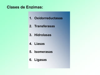 1. Oxidorreductasas
2. Transferasas
3. Hidrolasas
4. Liasas
5. Isomerasas
6. Ligasas
Clases de Enzimas:
 