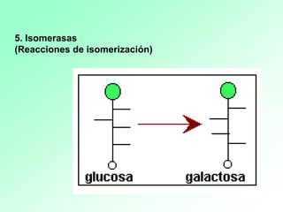 5. Isomerasas
(Reacciones de isomerización)
 