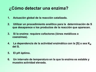 1. Actuación global de la reacción catalizada.
2. Utilizar un procedimiento analítico para la determinación de S
que desaparece o los productos de la reacción que aparecen.
3. Si la enzima requiere cofactores (iónes metálicos o
coenzimas).
4. La dependencia de la actividad enzimática con la [S] o sea KM
del S.
5. El pH óptimo.
6. Un intervalo de temperatura en la que la enzima es estable y
muestra actividad elevada.
¿Cómo detectar una enzima?
 