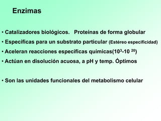• Catalizadores biológicos. Proteínas de forma globular
• Específicas para un substrato particular (Estéreo especificidad)
• Aceleran reacciones específicas químicas(103-10 20)
• Actúan en disolución acuosa, a pH y temp. Óptimos
• Son las unidades funcionales del metabolismo celular
Enzimas
 