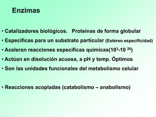 • Catalizadores biológicos. Proteínas de forma globular
• Específicas para un substrato particular (Estéreo especificidad)
• Aceleran reacciones específicas químicas(103-10 20)
• Actúan en disolución acuosa, a pH y temp. Óptimos
• Son las unidades funcionales del metabolismo celular
• Reacciones acopladas (catabolismo – anabolismo)
Enzimas
 