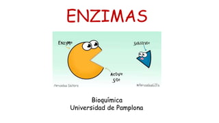 ENZIMAS
Bioquímica
Universidad de Pamplona
 