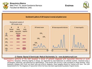 Desintometry Pattern Image Comprehensive Overview of Enzymes: Structure, Function, and Catalysis ...