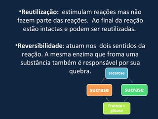 Reutilização:   estimulam reações mas não fazem parte das reações.  Ao final da reação estão intactas e podem ser reutilizadas.  Reversibilidade : atuam nos  dois sentidos da reação. A mesma enzima que froma uma substância também é responsável por sua quebra. 