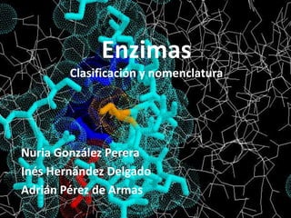 Enzimas
        Clasificación y nomenclatura




Nuria González Perera
Inés Hernández Delgado
Adrián Pérez de Armas
 