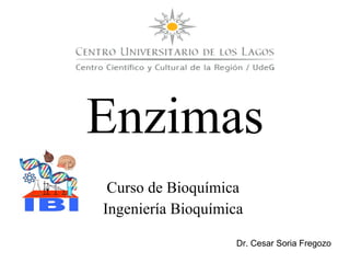 Curso de Bioquímica  Ingeniería Bioquímica  Enzimas Dr. Cesar Soria Fregozo 