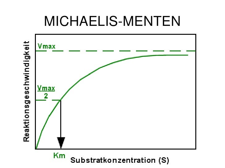 Teoria de michaelis menten
