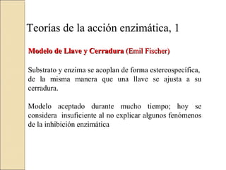 Teorías de la acción enzimática, 1
Modelo de Llave y CerraduraModelo de Llave y Cerradura (Emil Fischer)(Emil Fischer)
Substrato y enzima se acoplan de forma estereospecífica,
de la misma manera que una llave se ajusta a su
cerradura.
Modelo aceptado durante mucho tiempo; hoy se
considera insuficiente al no explicar algunos fenómenos
de la inhibición enzimática
 