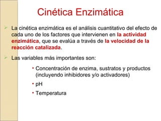 Cinética Enzimática
 La cinética enzimática es el análisis cuantitativo del efecto de
cada uno de los factores que intervienen en la actividad
enzimática, que se evalúa a través de la velocidad de la
reacción catalizada.
 Las variables más importantes son:
• Concentración de enzima, sustratos y productos
(incluyendo inhibidores y/o activadores)
• pH
• Temperatura
 