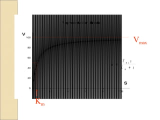 Representación directa
s
0 20 40 60 80 100
v
0
20
40
60
80
100
Km
Vmax
v
V s
K s
m x
m
=
+
 