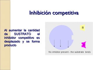 Inhibición competitivaInhibición competitiva
Al aumentar la cantidadAl aumentar la cantidad
de SUSTRATO elde SUSTRATO el
inhibidor competitivo esinhibidor competitivo es
desplazado y se formadesplazado y se forma
productoproducto
 