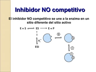 Inhibidor NO competitivoInhibidor NO competitivo
El inhibidor NO competitivo se une a la enzima en un
sitio diferente del sitio activo
 