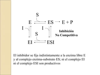 E ES
EI
I
S
E + P
I
ESI
S
Inhibición
No Competitiva
El inhibidor se fija indistintamente a la enzima libre E
y al complejo enzima-substrato ES; ni el complejo EI
ni el complejo ESI son productivos
 