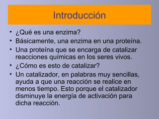 Introducción ¿Qué es una enzima? Básicamente, una enzima en una proteína. Una proteína que se encarga de catalizar reacciones químicas en los seres vivos. ¿Cómo es esto de catalizar? Un catalizador ,  en palabras muy sencillas, ayuda a que una reacción se realice en menos tiempo .   E sto porqu e  el catalizador disminuye la energía de activación para dicha reacción. 