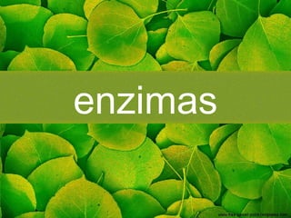 enzimas
 