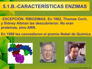 Enzimas 2010 | PPT