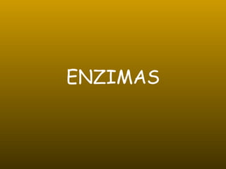 ENZIMAS 