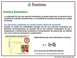 Cinética Enzimática:
Matemáticamente esta velocidad se expresa:
La velocidad (Vo) de una reacción enzimática se puede medir por la variación de la
cantidad de sustrato transformado, o la cantidad de producto formado por unidad
de tiempo.
Las reacciones catalizadas por enzimas tienen cinética de saturación:
Cuando se miden las velocidades iniciales (Vo) de una reacción enzimática con
distintas concentraciones de sustrato [S] en las mismas condiciones de pH y
temperatura y manteniendo constante la concentración de enzima [E], se obtiene
una curva como se representa a continuación:
Vmáx [S]
Km + [S]Vo =
Enzimas
Es la ecuación de Michaelis-Menten.
Leonor Micahelis (1875-1949) y Maud Menten (1879-1960)
Prof. Alfonso R. Bravo Henríquez. 2013.
 