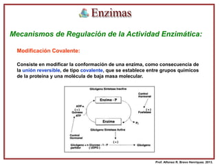 Mecanismos de Regulación de la Actividad Enzimática:
Modificación Covalente:
Consiste en modificar la conformación de una enzima, como consecuencia de
la unión reversible, de tipo covalente, que se establece entre grupos químicos
de la proteína y una molécula de baja masa molecular.
Prof. Alfonso R. Bravo Henríquez. 2013.
 