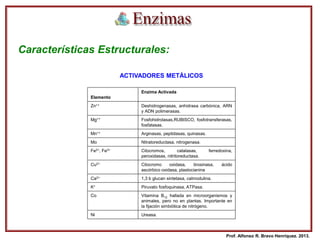 Características Estructurales:
ACTIVADORES METÁLICOS
Elemento
Enzima Activada
Zn++ Deshidrogenasas, anhidrasa carbónica, ARN
y ADN polimerasas.
Mg++ Fosfohidrolasas,RUBISCO, fosfotransferasas,
fosfatasas.
Mn++ Arginasas, peptidasas, quinasas.
Mo Nitratoreductasa, nitrogenasa.
Fe2+, Fe3+ Citocromos, catalasas, ferredoxina,
peroxidasas, nitritoreductasa.
Cu2+ Citocromo oxidasa, tirosinasa, ácido
ascórbico oxidasa, plastocianina
Ca2+ 1,3 b glucan sintetasa, calmodulina.
K+ Piruvato fosfoquinasa, ATPasa.
Co Vitamina B12 hallada en microorganismos y
animales, pero no en plantas. Importante en
la fijación simbiótica de nitrógeno.
Ni Ureasa.
Prof. Alfonso R. Bravo Henríquez. 2013.
 