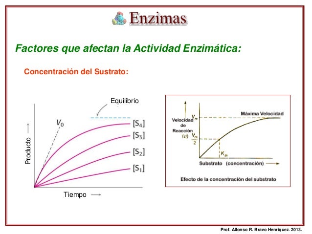 Enzimas