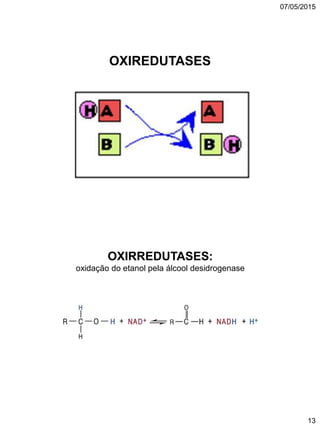 07/05/2015
13
OXIREDUTASES
OXIRREDUTASES:
oxidação do etanol pela álcool desidrogenase
 