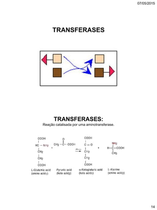 07/05/2015
14
TRANSFERASES
TRANSFERASES:
Reação catalisada por uma aminotransferase.
 