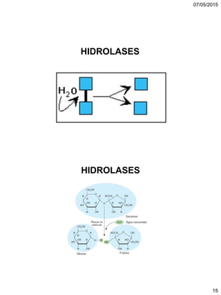 07/05/2015
15
HIDROLASES
HIDROLASES
 