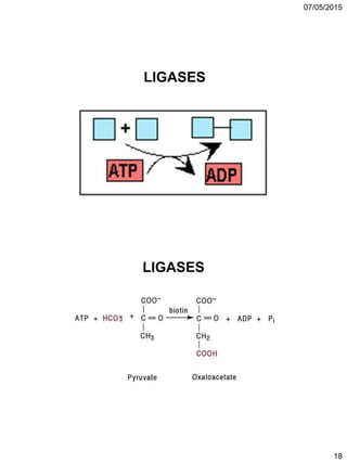 07/05/2015
18
LIGASES
LIGASES
 