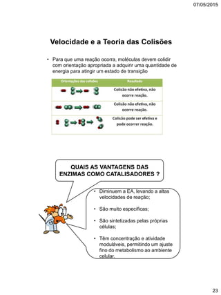 07/05/2015
23
Velocidade e a Teoria das Colisões
• Para que uma reação ocorra, moléculas devem colidir
com orientação apropriada a adquirir uma quantidade de
energia para atingir um estado de transição
• Diminuem a EA, levando a altas
velocidades de reação;
• São muito específicas;
• São sintetizadas pelas próprias
células;
• Têm concentração e atividade
moduláveis, permitindo um ajuste
fino do metabolismo ao ambiente
celular.
QUAIS AS VANTAGENS DAS
ENZIMAS COMO CATALISADORES ?
 