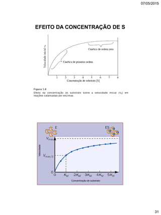 07/05/2015
31
EFEITO DA CONCENTRAÇÃO DE S
Concentração de substrato
Velocidade
 