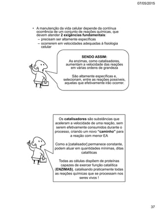 07/05/2015
37
• A manutenção da vida celular depende da contínua
ocorrência de um conjunto de reações químicas, que
devem atender 2 exigências fundamentais:
– precisam ser altamente específicas
– ocorrerem em velocidades adequadas à fisiologia
celular
SENDO ASSIM:
As enzimas, como catalisadores,
aumentam a velocidade das reações
em várias ordens de grandeza
São altamente específicas e,
selecionam, entre as reações possíveis,
aquelas que efetivamente irão ocorrer.
Os catalisadores são substâncias que
aceleram a velocidade de uma reação, sem
serem efetivamente consumidos durante o
processo, criando um novo “caminho” para
a reação com menor EA
Como a [catalisador] permanece constante,
podem atuar em quantidades mínimas, ditas
catalíticas
Todas as células dispõem de proteínas
capazes de exercer função catalítica
(ENZIMAS), catalisando praticamente todas
as reações químicas que se processam nos
seres vivos !
 