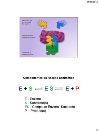 07/05/2015
5
Componentes da Reação Enzimática
E + S E S E + P
E - Enzima
S - Substrato(s)
ES - Complexo Enzima -Substrato
P – Produto(s)
 