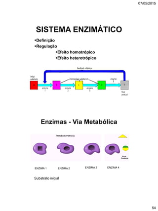 07/05/2015
54
SISTEMA ENZIMÁTICO
Definição
Regulação
Efeito homotrópico
Efeito heterotrópico
Enzimas - Via Metabólica
Substrato inicial
ENZIMA 1 ENZIMA 2 ENZIMA 3 ENZIMA 4
 