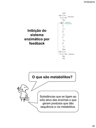 07/05/2015
55
Inibição do
sistema
enzimático por
feedback
Substâncias que se ligam ao
sítio ativo das enzimas e que
geram produtos que dão
sequência a via metabólica.
O que são metabólitos?
 