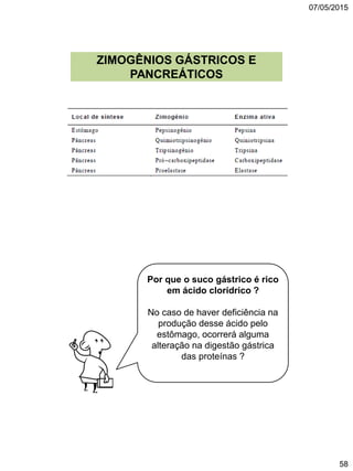 07/05/2015
58
ZIMOGÊNIOS GÁSTRICOS E
PANCREÁTICOS
Por que o suco gástrico é rico
em ácido clorídrico ?
No caso de haver deficiência na
produção desse ácido pelo
estômago, ocorrerá alguma
alteração na digestão gástrica
das proteínas ?
 