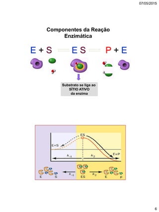 07/05/2015
6
Componentes da Reação
Enzimática
E + S E S P + E
Substrato se liga ao
SÍTIO ATIVO
da enzima
 