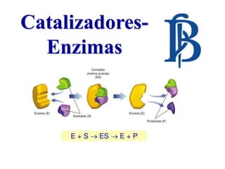 Catalizadores-
Enzimas
 