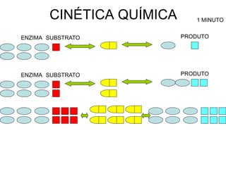 CINÉTICA QUÍMICA      1 MINUTO


ENZIMA SUBSTRATO          PRODUTO




ENZIMA SUBSTRATO          PRODUTO
 