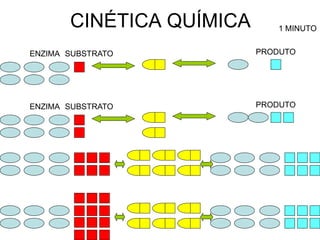 CINÉTICA QUÍMICA      1 MINUTO


ENZIMA SUBSTRATO          PRODUTO




ENZIMA SUBSTRATO          PRODUTO
 