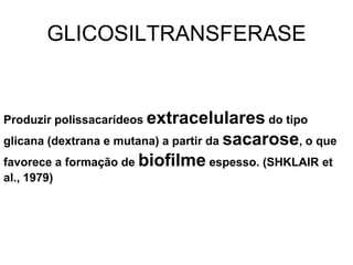 GLICOSILTRANSFERASE


Produzir polissacarídeos extracelulares do tipo
glicana (dextrana e mutana) a partir da sacarose, o que
favorece a formação de biofilme espesso. (SHKLAIR et
al., 1979)
 