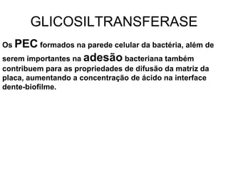 GLICOSILTRANSFERASE
Os PEC formados na parede celular da bactéria, além de
serem importantes na adesão bacteriana também
contribuem para as propriedades de difusão da matriz da
placa, aumentando a concentração de ácido na interface
dente-biofilme.
 