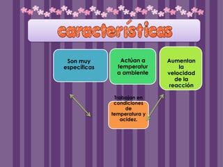 Son muy         Actúan a     Aumentan
específicas     temperatur        la
                a ambiente    velocidad
                                de la
                              reacción

               Trabajan en
               condiciones
                    de
              temperatura y
                  acidez.
 