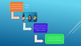 Enzima que hidroliza
los enlaces ester de las
grasas (triglicéridos)
• Alcohol
• Grasas
La lipasa es más específica que la
amilasa total para establecer un
diagnóstico de pancreatitis aguda.
Especifica para los ácidos
grasos en las posiciones 1 y 3
triglicéridos y la cataliza una
sal biliar y la colipasa
 